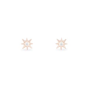 14kt Rose Gold Earrings With Diamonds